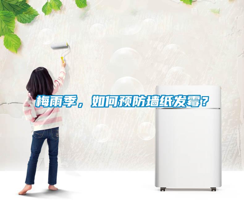 梅雨季，如何預防墻紙發霉？