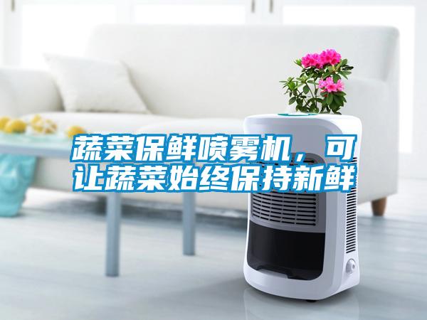蔬菜保鮮噴霧機，可讓蔬菜始終保持新鮮
