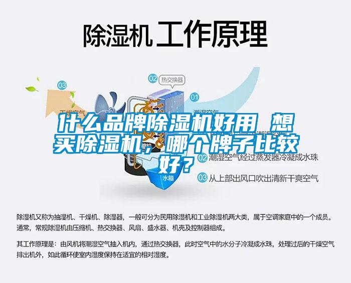 什么品牌除濕機(jī)好用 想買除濕機(jī)，哪個(gè)牌子比較好？