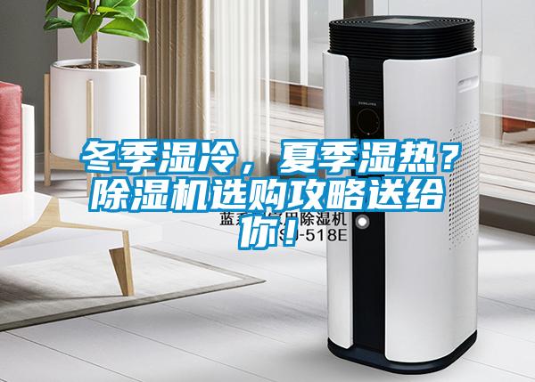 冬季濕冷，夏季濕熱？除濕機選購攻略送給你！