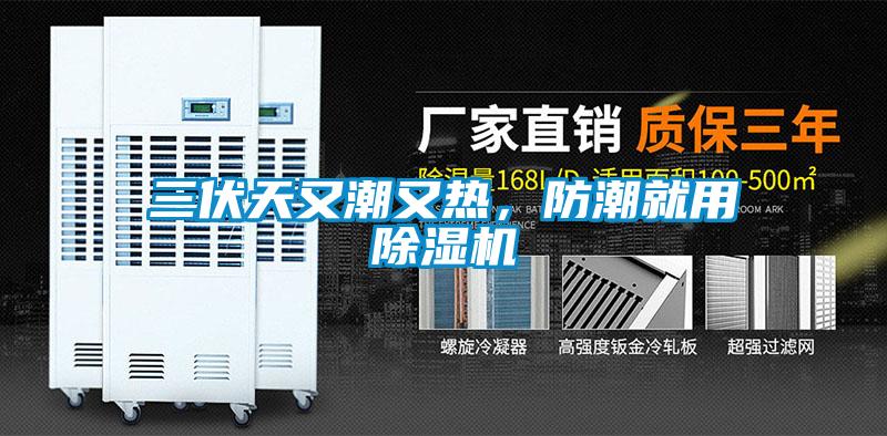 三伏天又潮又熱，防潮就用除濕機