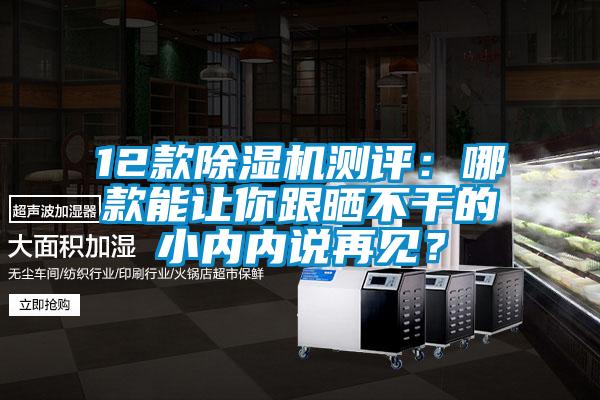 12款除濕機測評：哪款能讓你跟曬不干的小內內說再見？