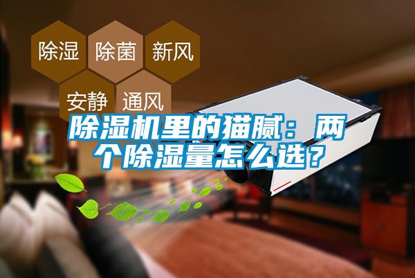 除濕機(jī)里的貓膩：兩個(gè)除濕量怎么選？