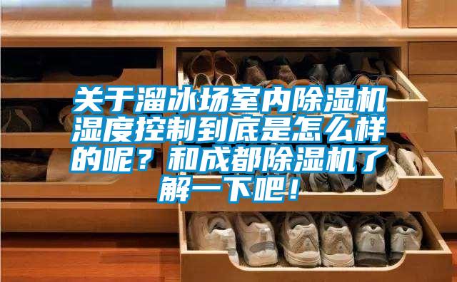 關(guān)于溜冰場(chǎng)室內(nèi)除濕機(jī)濕度控制到底是怎么樣的呢？和成都除濕機(jī)了解一下吧！