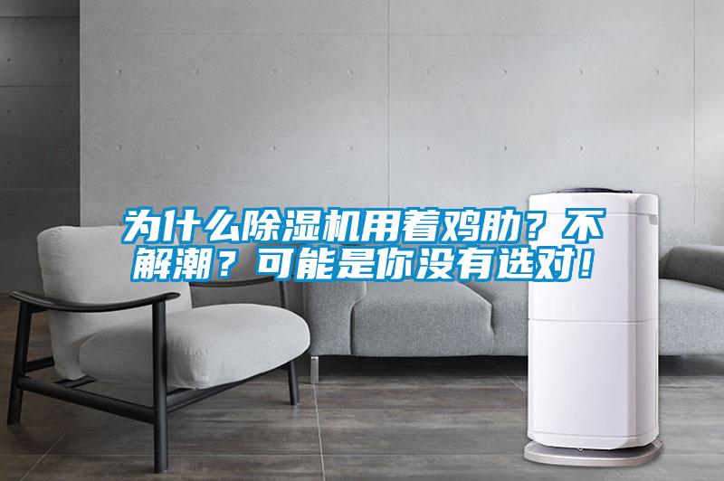 為什么除濕機(jī)用著雞肋？不解潮？可能是你沒有選對！