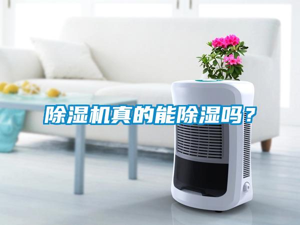 除濕機(jī)真的能除濕嗎？