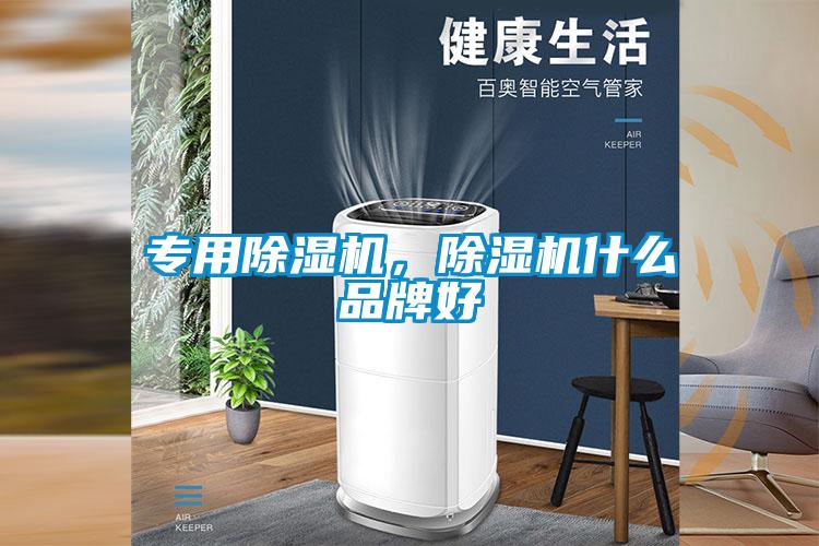 專用除濕機，除濕機什么品牌好