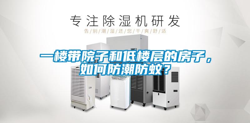 一樓帶院子和低樓層的房子，如何防潮防蚊？