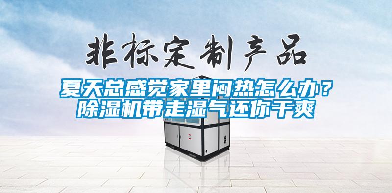 夏天總感覺家里悶熱怎么辦？除濕機帶走濕氣還你干爽