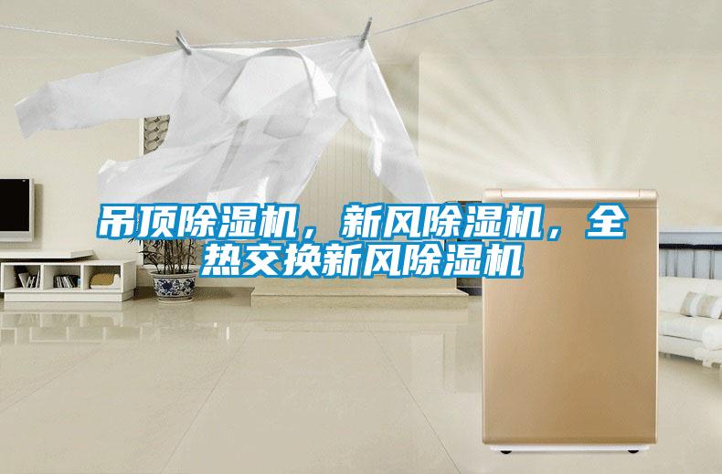吊頂除濕機，新風除濕機，全熱交換新風除濕機