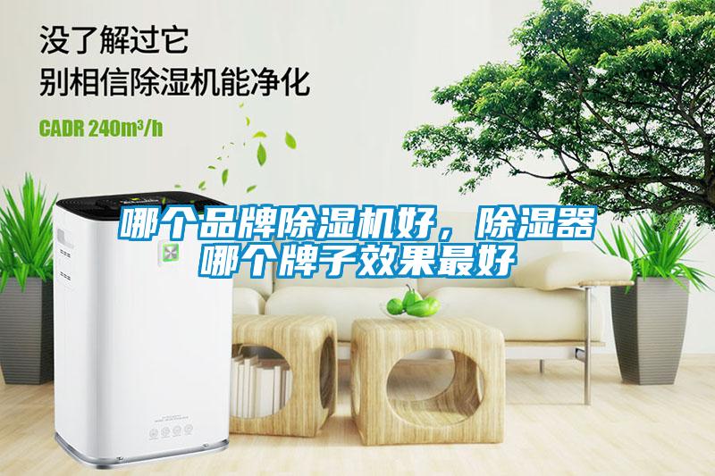 哪個品牌除濕機好，除濕器哪個牌子效果最好