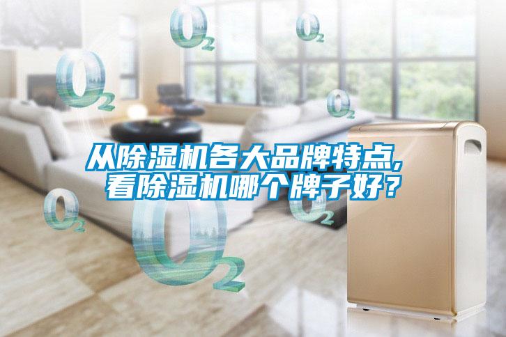 從除濕機各大品牌特點, 看除濕機哪個牌子好？