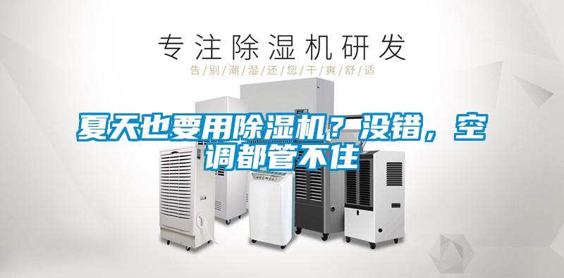夏天也要用除濕機(jī)？沒(méi)錯(cuò)，空調(diào)都管不住
