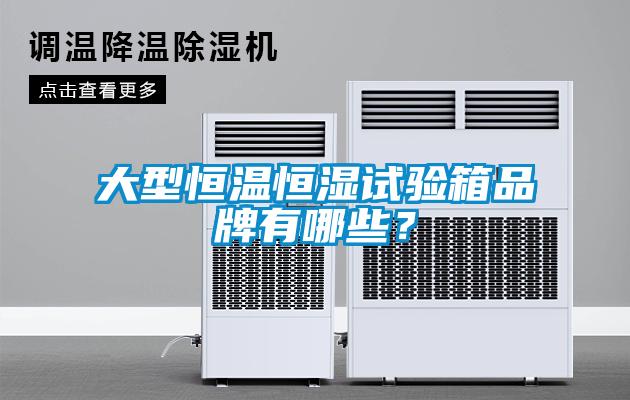 大型恒溫恒濕試驗箱品牌有哪些？