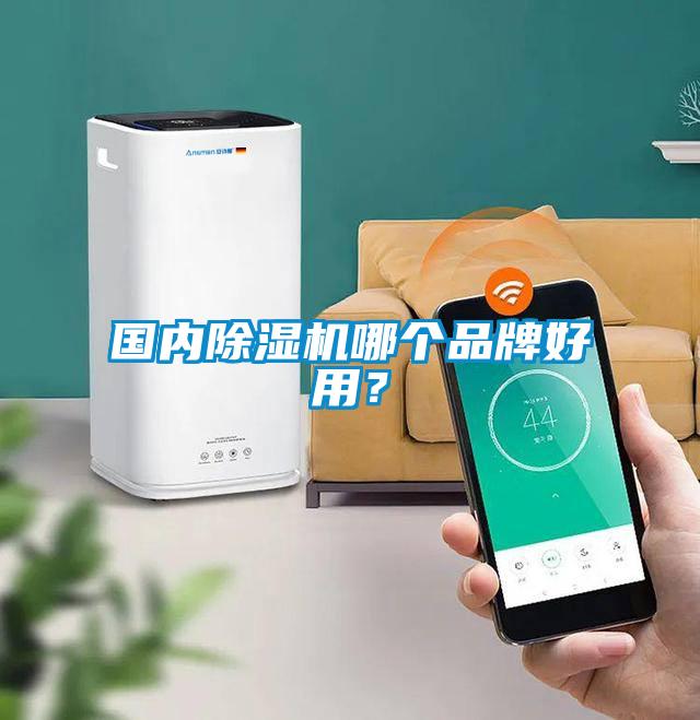 國(guó)內(nèi)除濕機(jī)哪個(gè)品牌好用？
