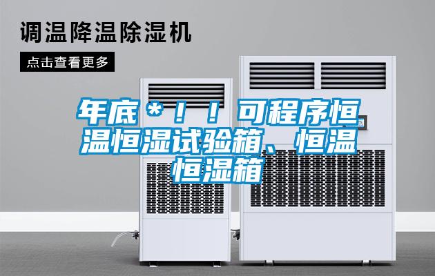 年底＊！！可程序恒溫恒濕試驗箱、恒溫恒濕箱