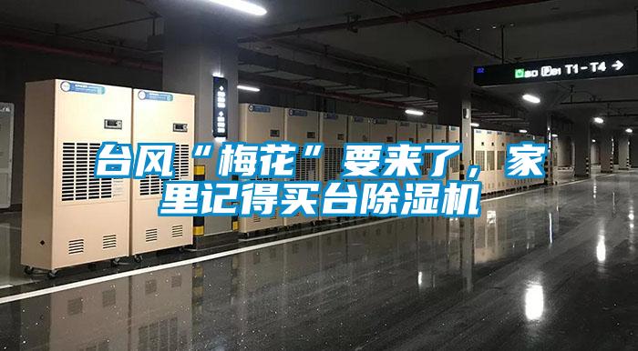 臺(tái)風(fēng)“梅花”要來(lái)了，家里記得買臺(tái)除濕機(jī)