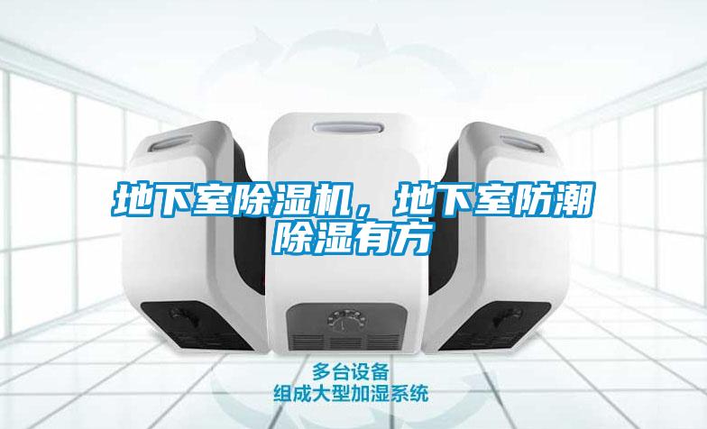 地下室除濕機，地下室防潮除濕有方