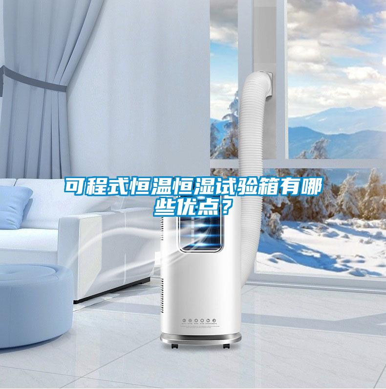 可程式恒溫恒濕試驗箱有哪些優點？