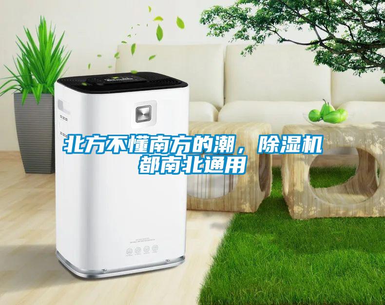 北方不懂南方的潮，除濕機都南北通用