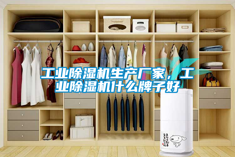 工業除濕機生產廠家，工業除濕機什么牌子好