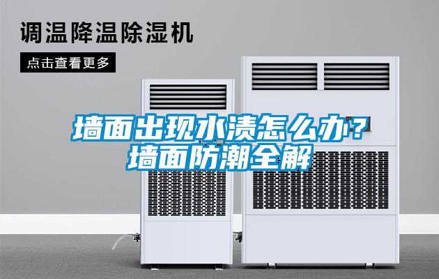 墻面出現水漬怎么辦？墻面防潮全解