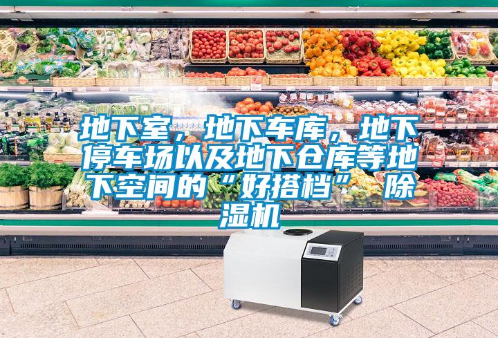 地下室，地下車(chē)庫(kù)，地下停車(chē)場(chǎng)以及地下倉(cāng)庫(kù)等地下空間的“好搭檔” 除濕機(jī)