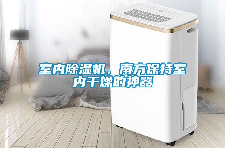 室內除濕機，南方保持室內干燥的神器
