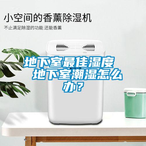 地下室最佳濕度  地下室潮濕怎么辦？