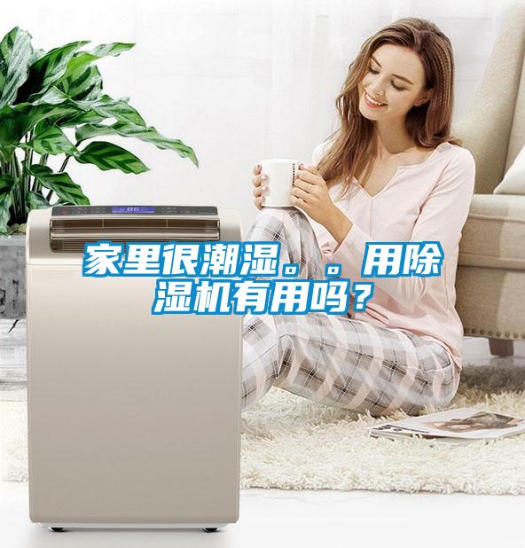 家里很潮濕。。用除濕機(jī)有用嗎？