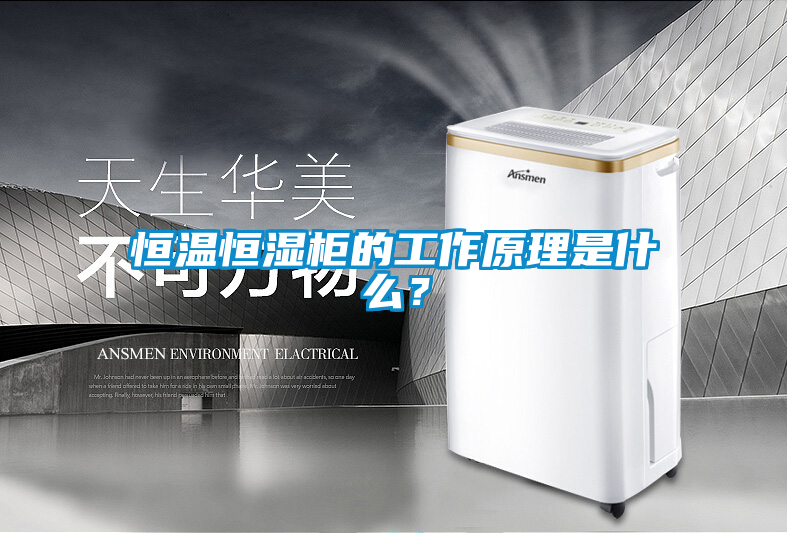 恒溫恒濕柜的工作原理是什么？