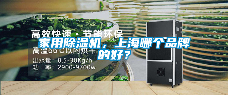 家用除濕機(jī)，上海哪個(gè)品牌的好？