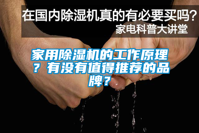 家用除濕機的工作原理？有沒有值得推薦的品牌？