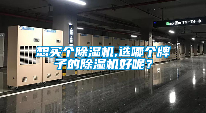 想買個除濕機,選哪個牌子的除濕機好呢？
