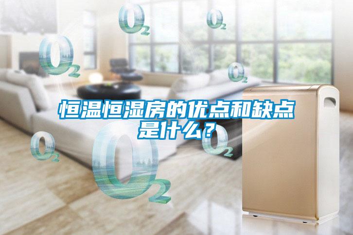 恒溫恒濕房的優(yōu)點(diǎn)和缺點(diǎn)是什么？