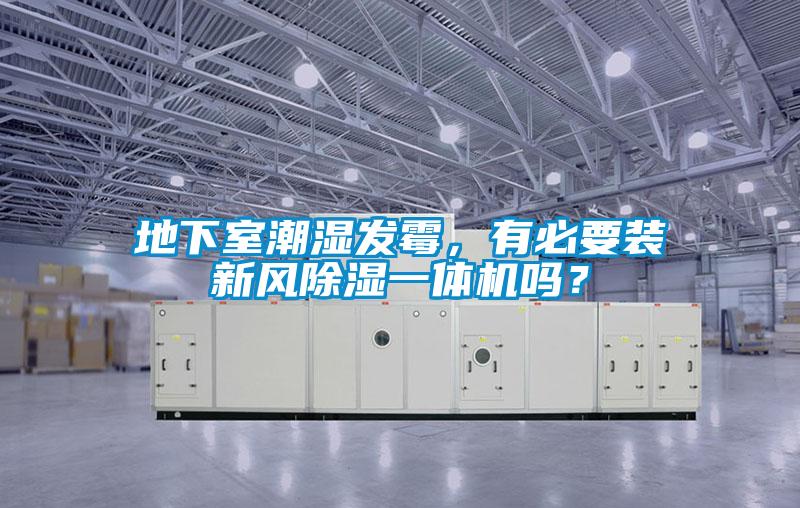 地下室潮濕發霉，有必要裝新風除濕一體機嗎？