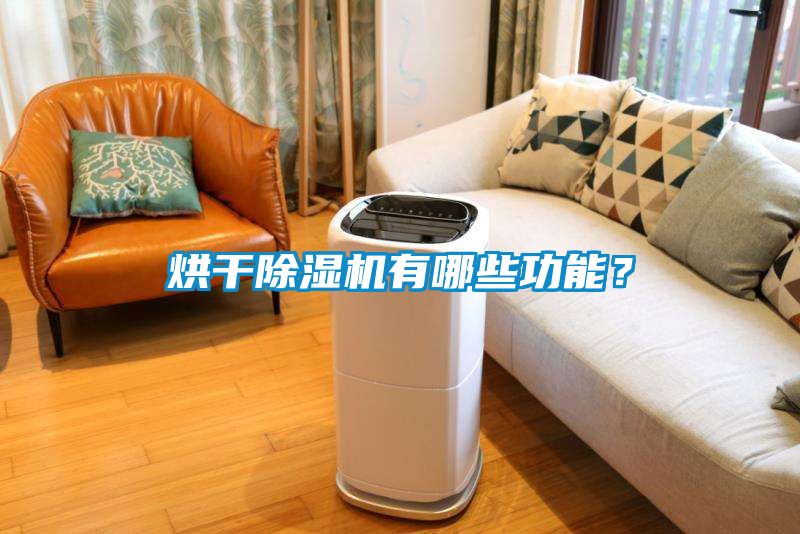 烘干除濕機有哪些功能？