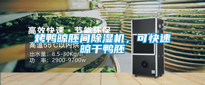 烤鴨晾胚間除濕機，可快速晾干鴨胚