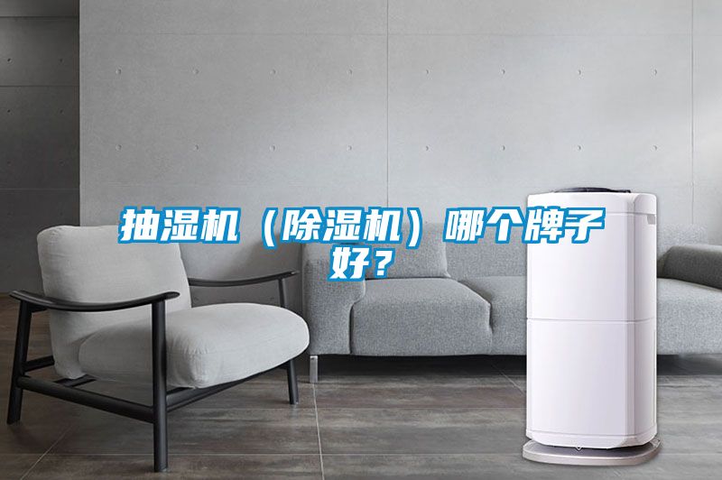 抽濕機（除濕機）哪個牌子好？