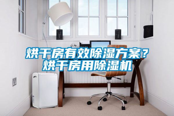 烘干房有效除濕方案？烘干房用除濕機