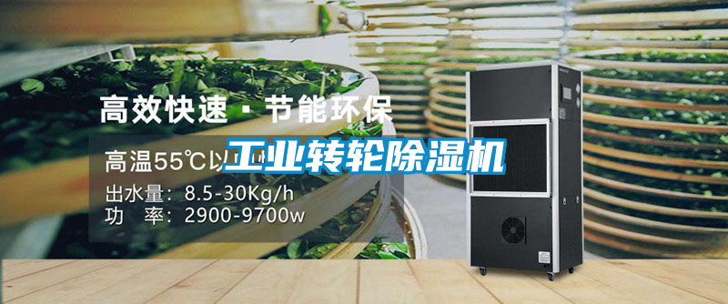 工業(yè)轉輪除濕機