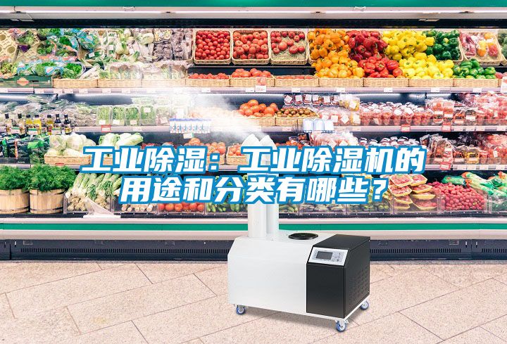 工業除濕：工業除濕機的用途和分類有哪些？