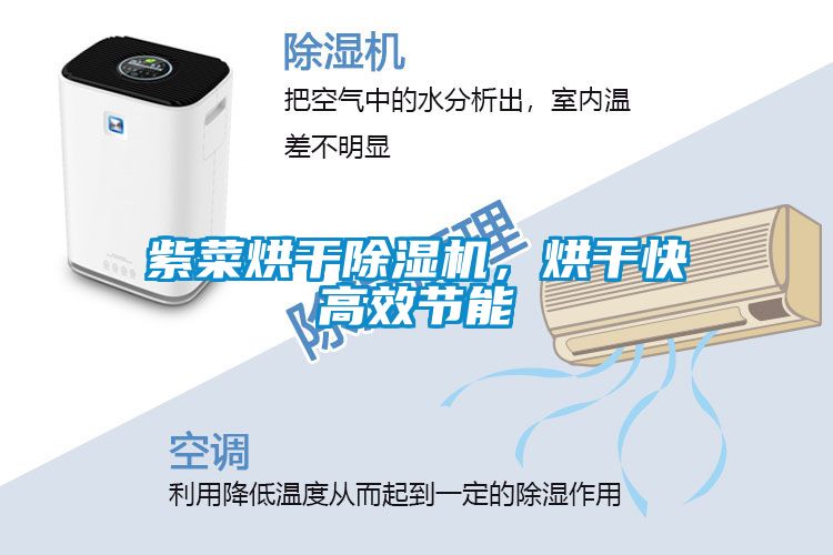 紫菜烘干除濕機，烘干快高效節能
