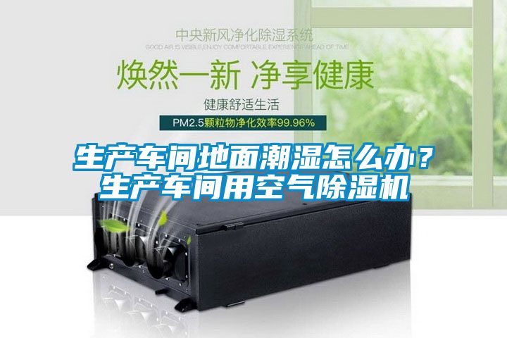 生產(chǎn)車間地面潮濕怎么辦？生產(chǎn)車間用空氣除濕機(jī)