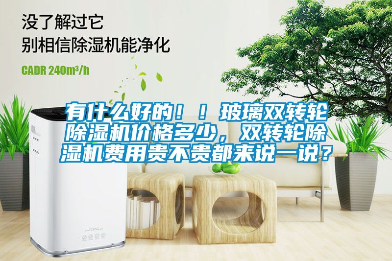 有什么好的?。〔Ａщp轉輪除濕機價格多少，雙轉輪除濕機費用貴不貴都來說一說？