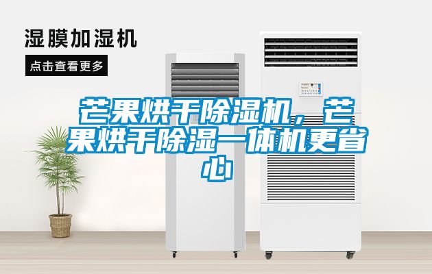 芒果烘干除濕機，芒果烘干除濕一體機更省心