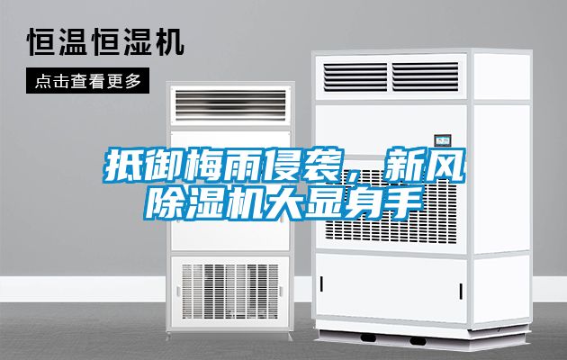 抵御梅雨侵襲，新風除濕機大顯身手