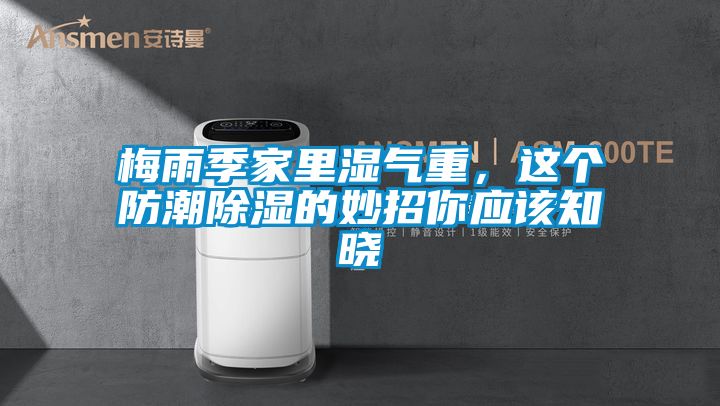 梅雨季家里濕氣重，這個防潮除濕的妙招你應(yīng)該知曉