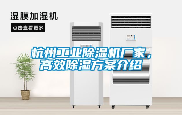 杭州工業除濕機廠家，高效除濕方案介紹