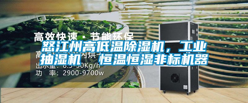 怒江州高低溫除濕機(jī)，工業(yè)抽濕機(jī)  恒溫恒濕非標(biāo)機(jī)器